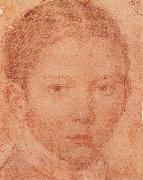 VELAZQUEZ, Diego Rodriguez de Silva y Head-Portrait of Young boy